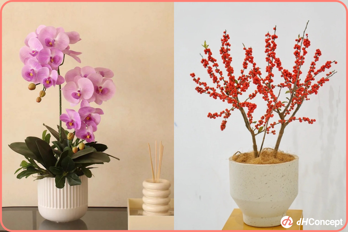 5種新年植物推薦擺在家中招財又吉利 Dhconcept