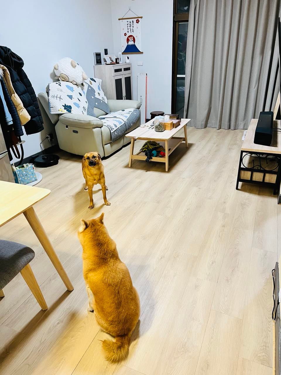 哥本森林歐巴地板案例