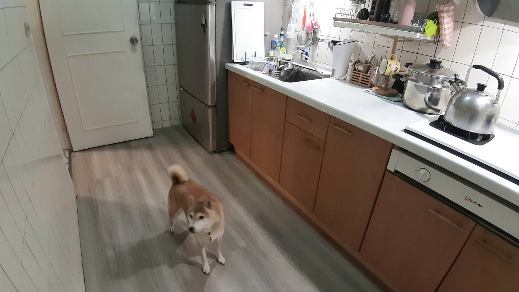 北歐淺橡歐巴地板案例