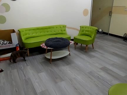 新婚裝修預算怎麼抓？3分法讓小資夫妻不踩雷